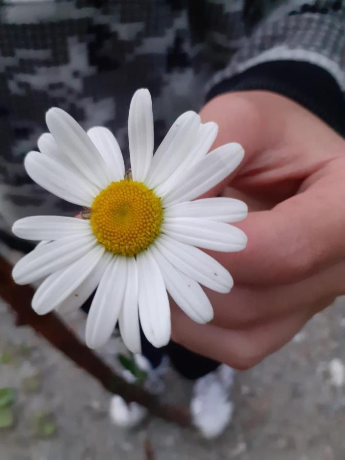 Appartamento Signorile Con Giardino Aosta Exterior foto
